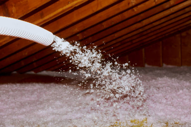 Best Local Insulation Services  in Lake Elmo, MN