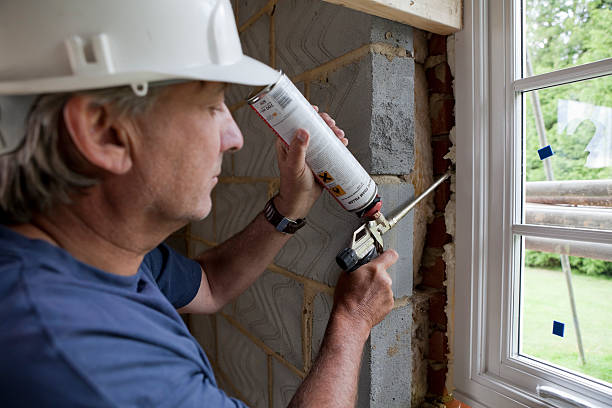 Best Attic Insulation Near Me  in Lake Elmo, MN