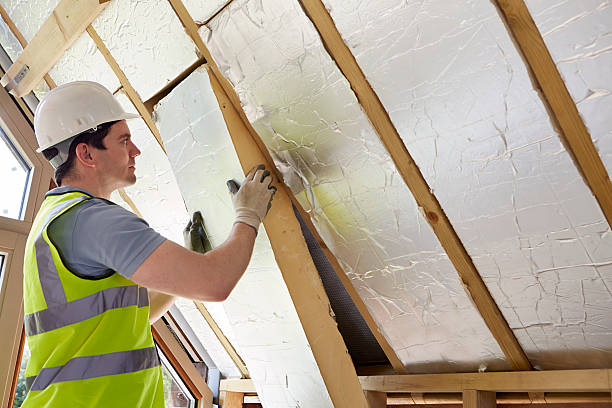 Insulation Inspection Services in Lake Elmo, MN